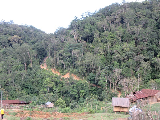 Community forest management, protection and development in the Central Highlands